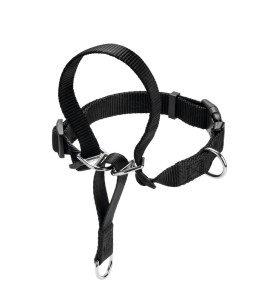 Hunter Kantar Follow Me