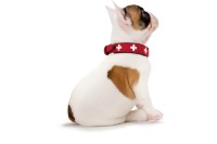 Hunter Skórzana obroża dla psa Swiss czerwona_4