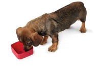 Hunter Składana silikonowa miska podróżna  List czerwona_3