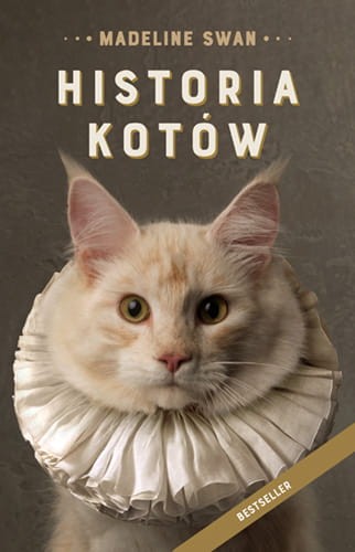 Madeline Swan. Historia kotów
