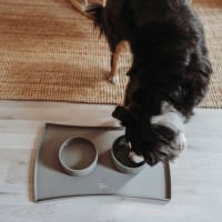 Hunter Podkładka pod miski Selection szara. Mata pod miski chroniąca podłogę. Wykonana z silikonu przeznaczonego do kontaktu z żywnością. Z podwyższonym brzegiem_3