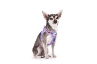Curli Szelki dla psa Clasp Air Mesh Lavender Flamingo - letnia edycja_3