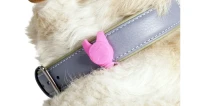 Flamingo Silikonowa przypinka Jada. Ta poręczna mała przypinka do obroży dla psa. Zawieszka posiada trzy tryby świecenia. Według zapewnień producenta światło LED widoczne jest do 300 metrów._3