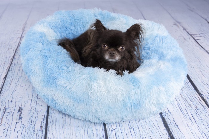 Flamingo Legowisko dla psa i kota Demi błękitne. Materiał: plusz z wypełnieniem: włókno poliestrowe Gramatura pluszu: 310 g/m². Można prać w temperaturze 30°C. Spód antypoślizgowy