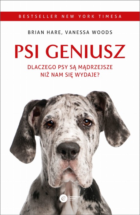 psi-geniusz-dlaczego-a6f99d7.jpg