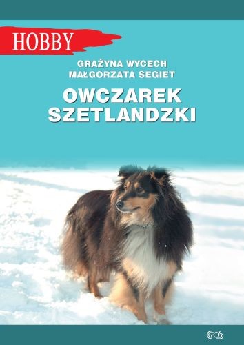 93a6a42-owczarek-szetlandzki.jpg