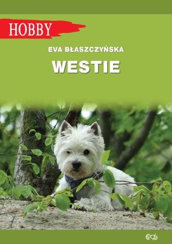 b463412-westie-west-highland.jpg