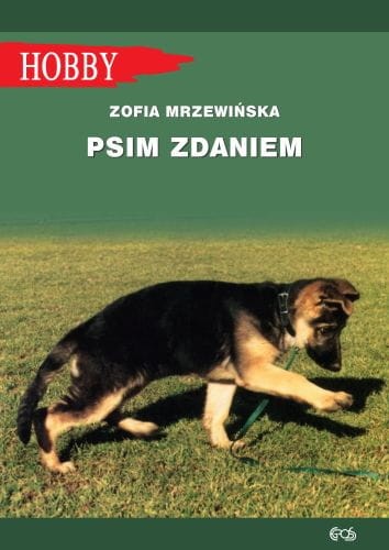 e65eaff-psim-zdaniem-wyd-320.jpg