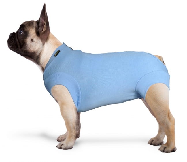 Grande Finale Body poopreracyjne unisex niebieskie / bez otworu