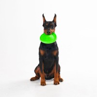 Collar Flyber Latający spodek  jasnozielony 22 cm_5