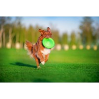 Collar Flyber Latający spodek  jasnozielony 22 cm_6