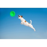 Collar Flyber Latający spodek  jasnozielony 22 cm_7