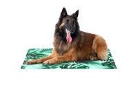 Freedog Legowisko chłodzące dla psa Eco Coll Bed Sabannah. W środku legowiska znajduje się specjalny żel, który aktywuje się w kontakcie z ciałem. Wystarczy, że pupil położy się na nim i gotowe_3