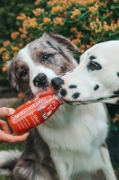 SmoothieDog z wołowiny dla psa 250ml _2