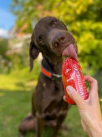 SmoothieDog z wołowiny dla psa 250ml _3