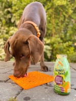 SmoothieDog Vege Love Smoothie dla psa 250 ml _2