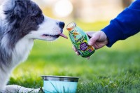 SmoothieDog Vege Love Smoothie dla psa 250 ml_3