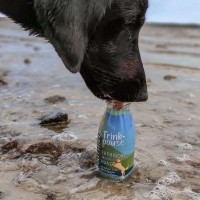 SmoothieDog Smoothie dla psa z kaczki  250 ml _2