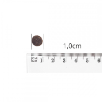 BALTICA Karma dla psa  cielęcina z jagnięciną XS_S 1 kg_2.png