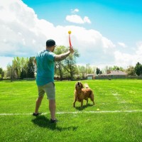 Hunter Zabawka dla psa wyrzutnia Flingerz Ball. Piłka wykonana z wytrzymałej gumy - można wypełnić ją smakołykami. Specjalny uchwyt ułatwia podniesienie zabawki bez brudzenia rąk_9