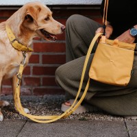 Hunter Saszetka na smaczki na ramię Alva musztardowa. Łatwe otwieranie i zamykanie za pomocą magnetycznego zamknięcia. Z odblaskową lamówką dookoła, zapewniającą dodatkową widoczność_13