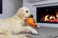 Flamingo zabawka dla psa Halloween Dynia. Materiał: plusz. Z piszczałką dla dodatkowej zabawy_3