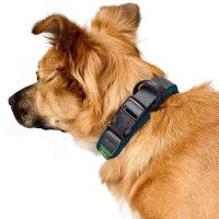 Hunter Obroża dla psa Maldon turkusowa. Wygodna wyściółka z miękkiego, oddychającego materiału siateczkowego. Z odciążeniem. Bezstopniowa regulacja. Niezwykle wytrzymała, cicha i lekka pętla do zaczepienia smyczy_4