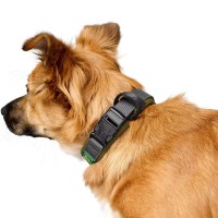 Hunter Obroża dla psa Maldon w odcieniu oliwkowym. Wygodna wyściółka z miękkiego, oddychającego materiału siateczkowego. Z odciążeniem. Bezstopniowa regulacja. Niezwykle wytrzymała, cicha i lekka pętla do zaczepienia smyczy_4