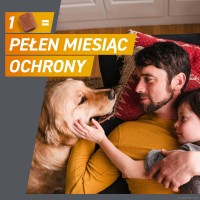 FRONTPRO Tabletki dla psa na pchły i kleszcze 10-25 kg opakowanie 3 szt.  _5