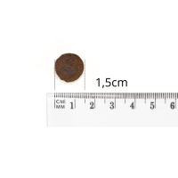 Baltica Karma sucha dla psa Baltica Adult Fish&Rice Light M 12 kg_2