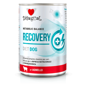 Disugual Karma mokra dla psa Weterynaryjna RECOVERY Jagnięcina 400 g