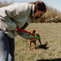 Hunter Zabawka dla psa wyrzutnia FLINGERZ™Funki. Ułatwia podniesienie zabawki - bez brudzenia rąk. Szczególnie duża odległość rzucania zabawką jest możliwa bez większego wysiłku_14