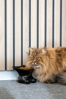 Flamingo Miska ceramiczna dla kota Doby czarna.  Wykonana została z ceramiki. Klasyczny czarny kolor oraz nietypowy kształt mruczka to niezwykłe zestawienie, które podbije serce mruczka oraz właściciela. _3