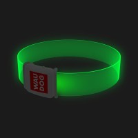 Collar Waudog Obroża dla psa z podświetleniem na klamrę magnetyczną 35 cm