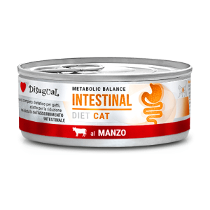  Disugual Karma mokra dla kota Weterynaryjna INTESTINAL Wołowina 85 g