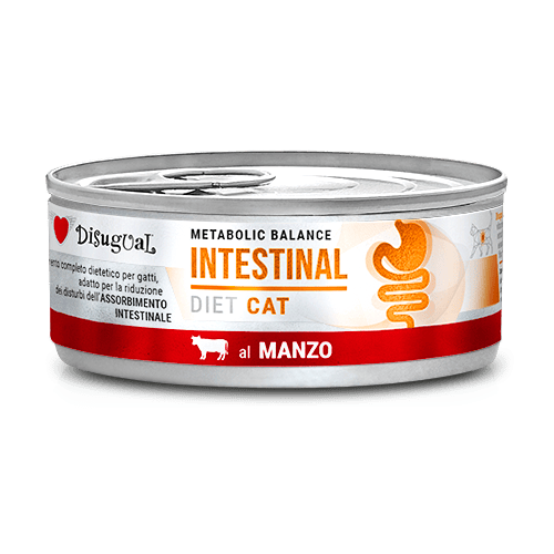 Disugual Karma mokra dla kota Weterynaryjna INTESTINAL Wołowina 85 g