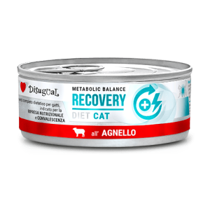 Disugual Karma mokra dla kota Weterynaryjna RECOVERY Jagnięcina 85 g