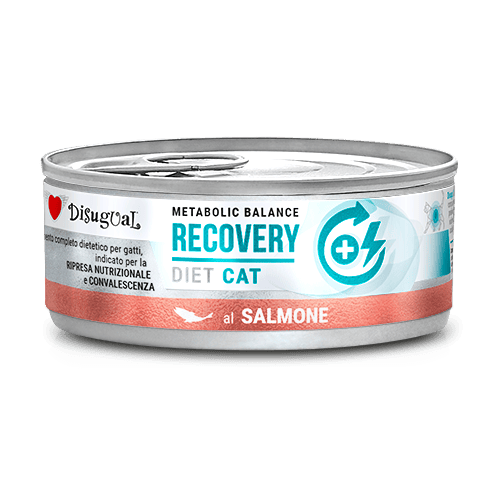 Disugual Karma mokra dla kota Weterynaryjna RECOVERY Łosoś 85 g