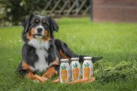 SmoothieDog Smoothie dla psa MORO-ART Marchwianka 250 ml _3