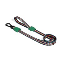 Travis-Leash-2_r.jpg
