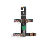 Travis-H-Harness_r.jpg