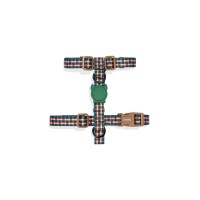 Travis-H-Harness-1_r.jpg