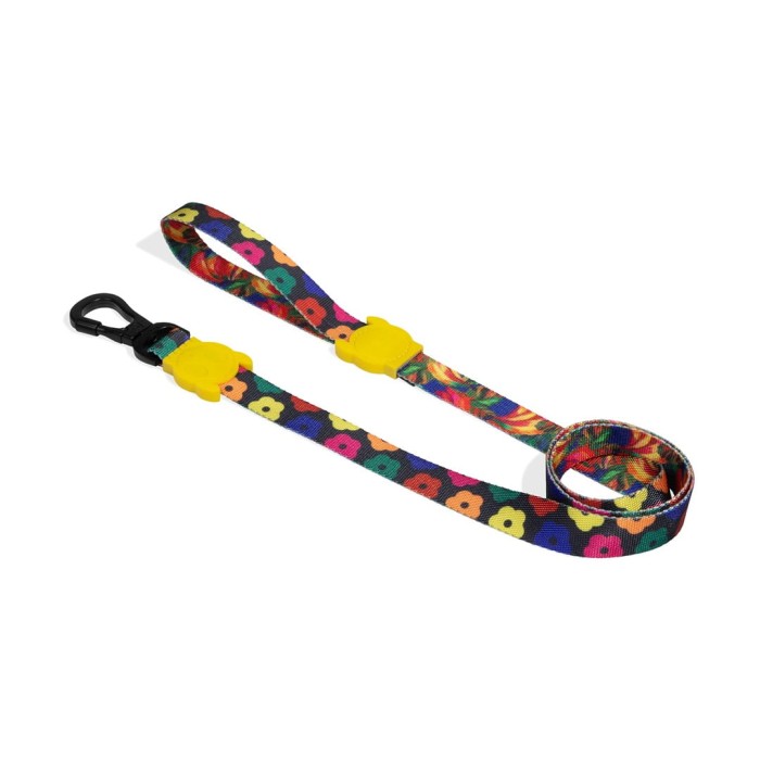 Farm_Leash_Samba-2_r.jpg