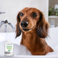 POLIDERM® SZAMPON SASZETKA – pielęgnacja sierści dla psa i kota 15 ml_3