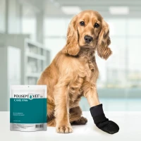 POLISEPT VET® CARE PAW – but ochronny dla psa i kota_3
