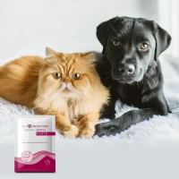 VET PROTECTOR® GASTRO – BIOTYK FORTE – multibiotyk dla psa i kota 3 g_2