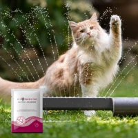 VET PROTECTOR® GASTRO – ELEKTRO – preparat stabilizujący równowagę wodno-elektrolitową w postaci proszku dla psa i kota 3 g_3