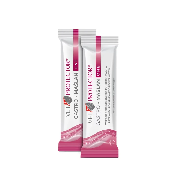 VET PROTECTOR® GASTRO – MAŚLAN ONE – preparat wspierający funkcjonowanie przewodu pokarmowego dla psa i kota 3 ml