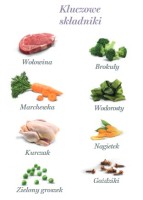 Amanova Dog Adult Brilliant Beef & Chicken. Karma dla psa - wołowina i kurczak saszetka 100 g_4