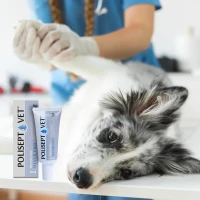 JM Sante POLISEPT VET® WOUND GEL SILVER PRO – żelowy opatrunek dla psa i kota 30 ml_2